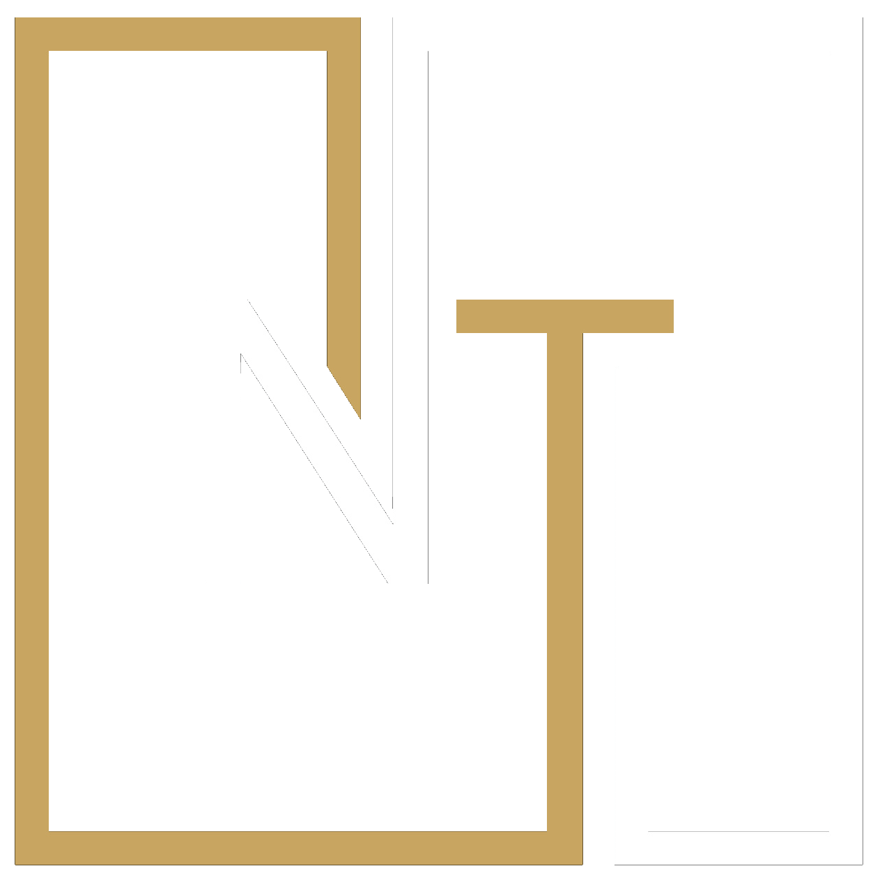 Novus Taxatie logo