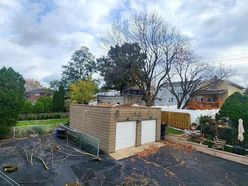 Backyard with a small brick shed, leafless trees, and scattered debris under a cloudy sky