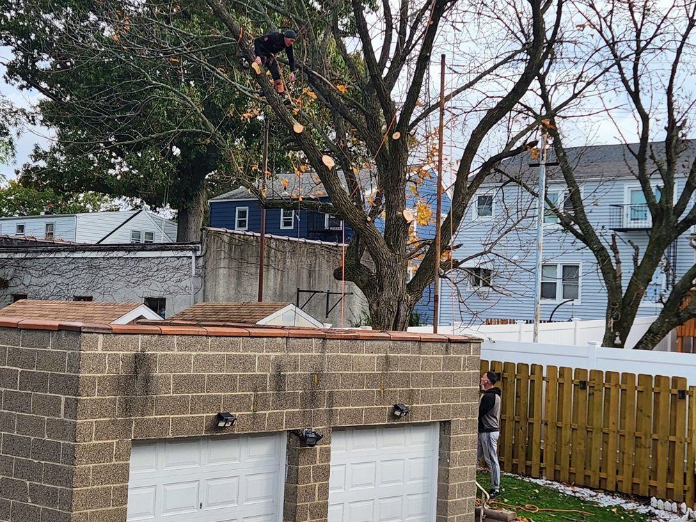 Backyard with brick garage, tall trees, white fence, and houses in the background