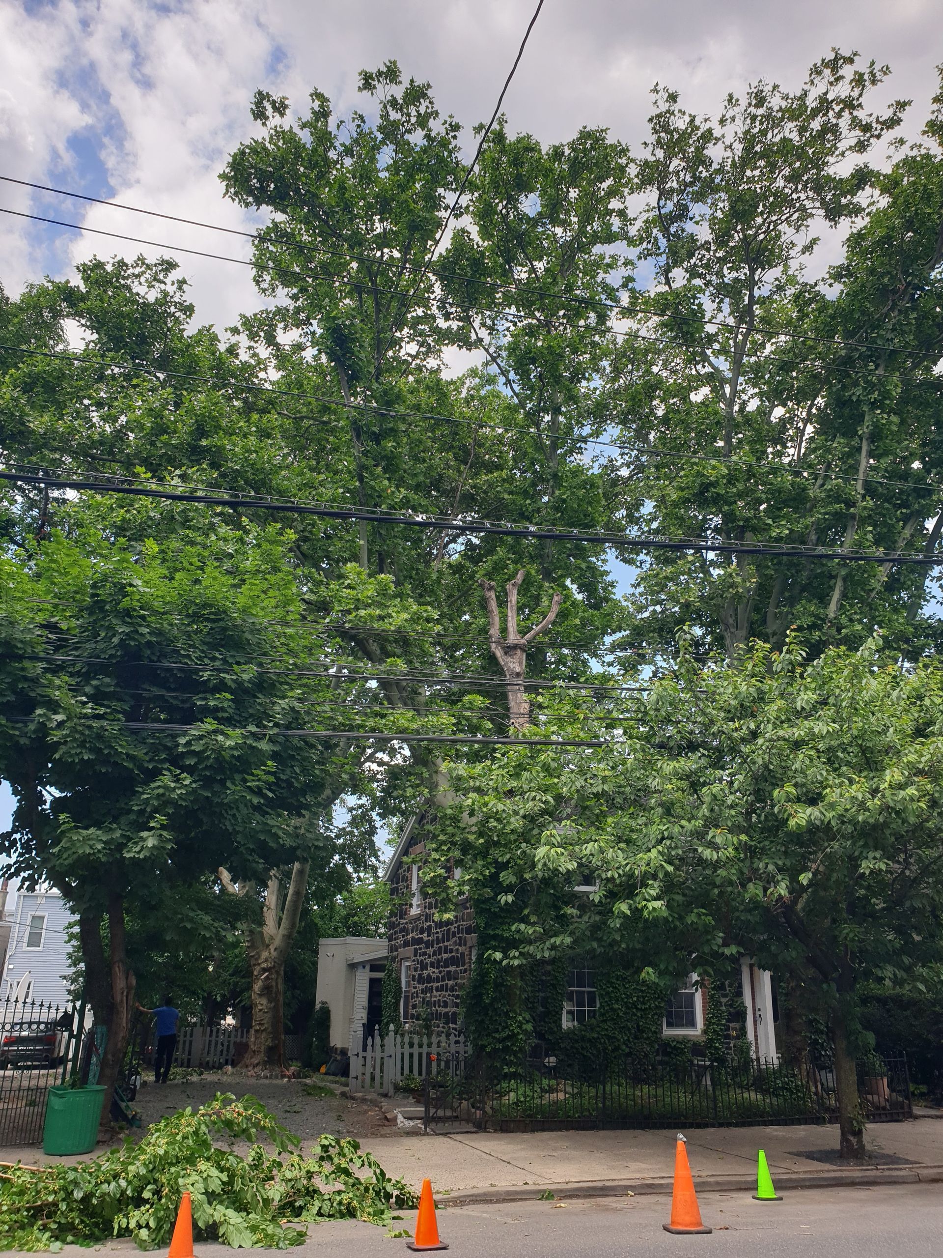 Tree-lined street with orange traffic cones and a small building beside a road