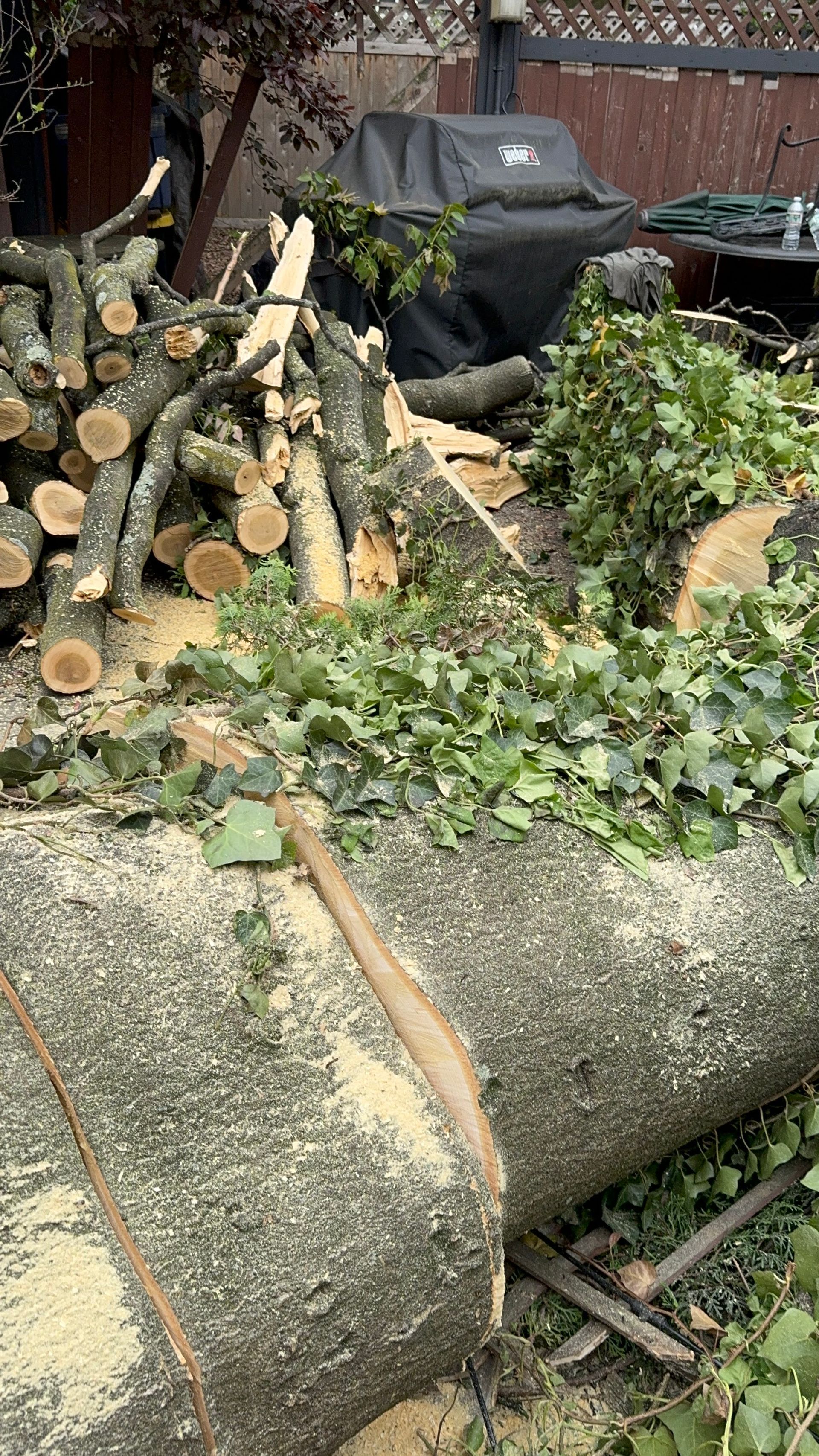 Stacked firewood and a black grill behind a concrete block in an outdoor yard with scattered greenery.