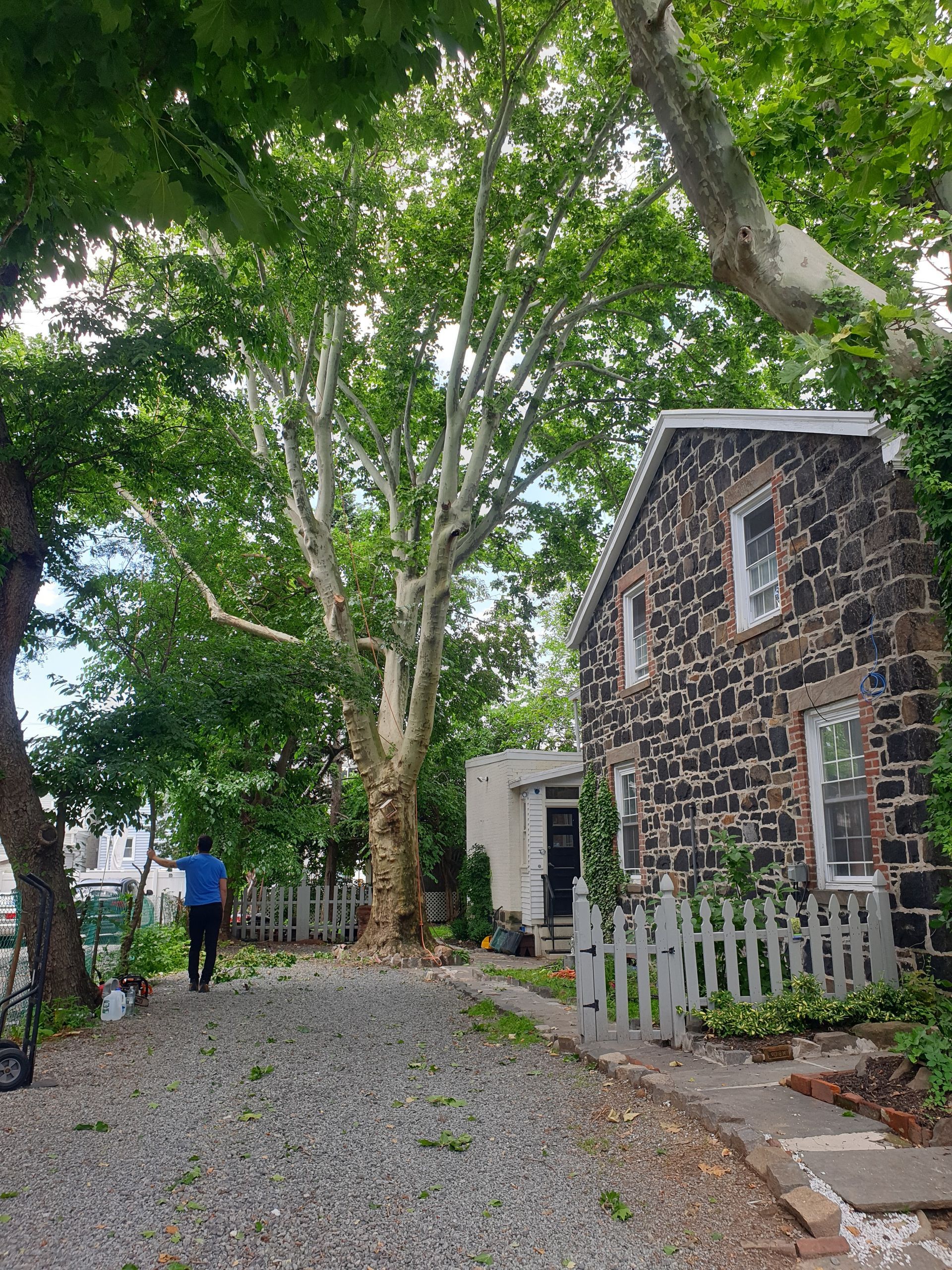 Tree-lined gravel path beside a small stone house with a person walking away