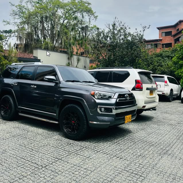 A row of cars are parked in a parking lot