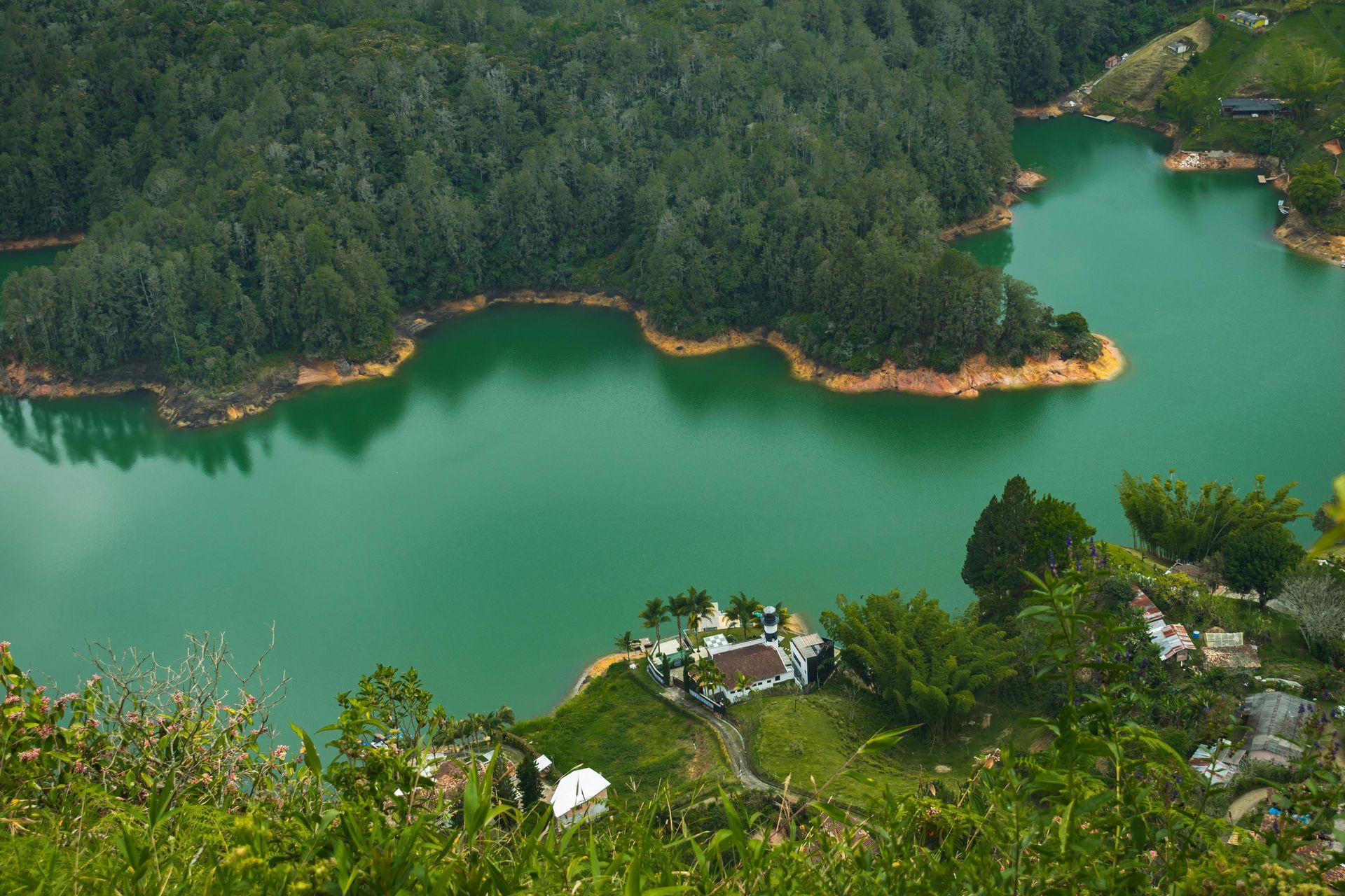 An aerial view of a lake surrounded by trees.