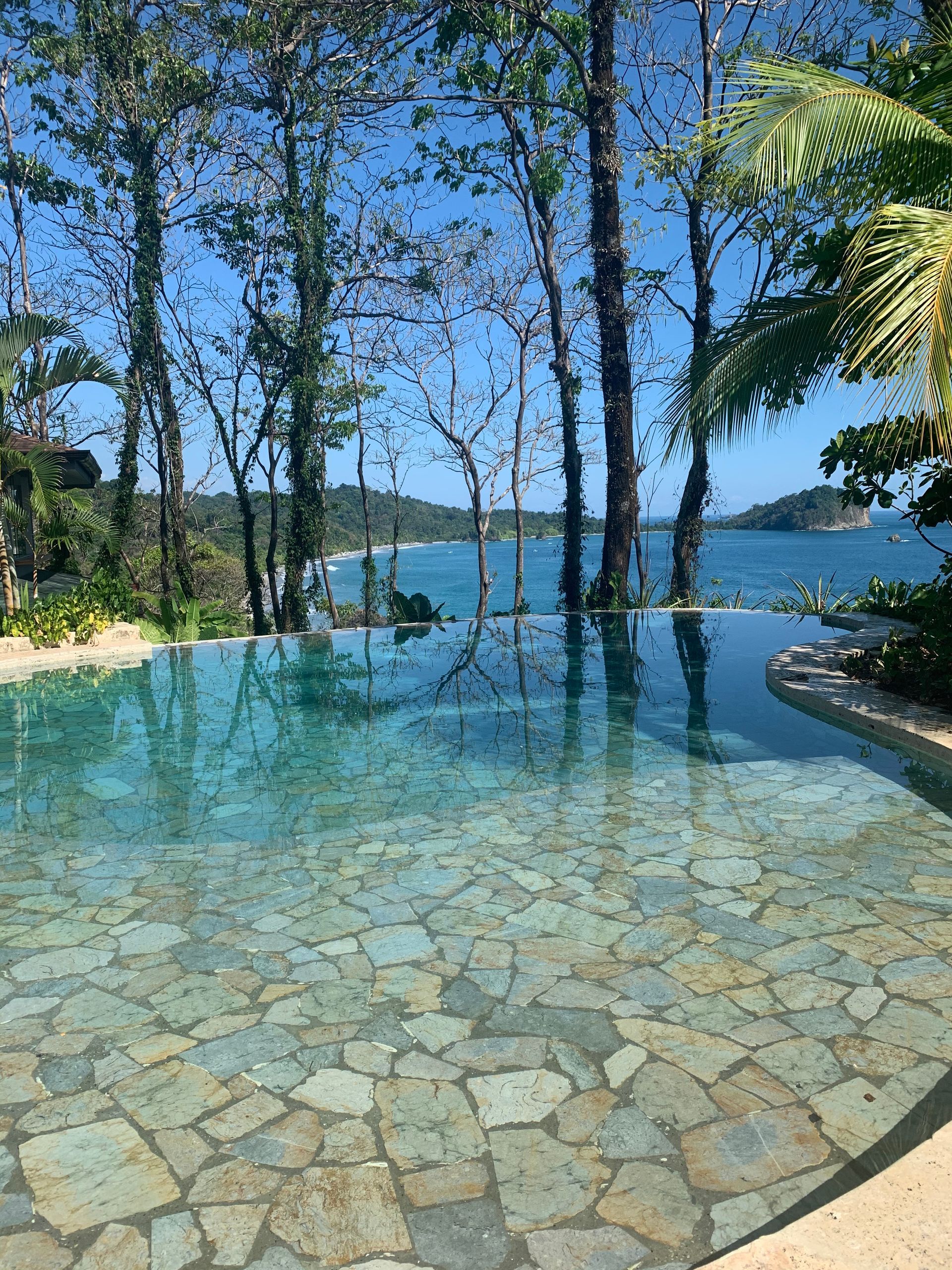 Clear blue infinity pool overlooking a lake, with stone tiles, trees, and palm fronds in sunlight