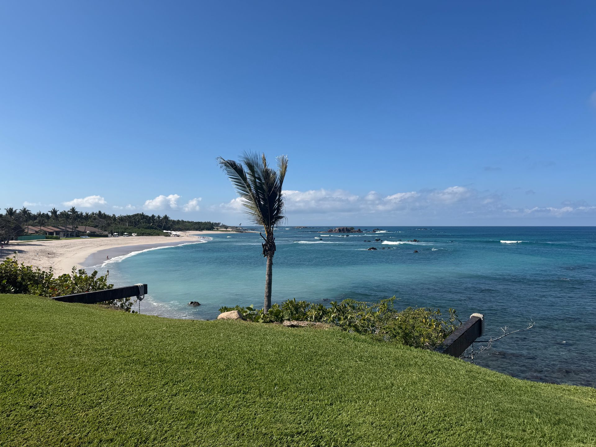 Sunny tropical beach with turquoise water, white sand, and a palm tree in the foreground