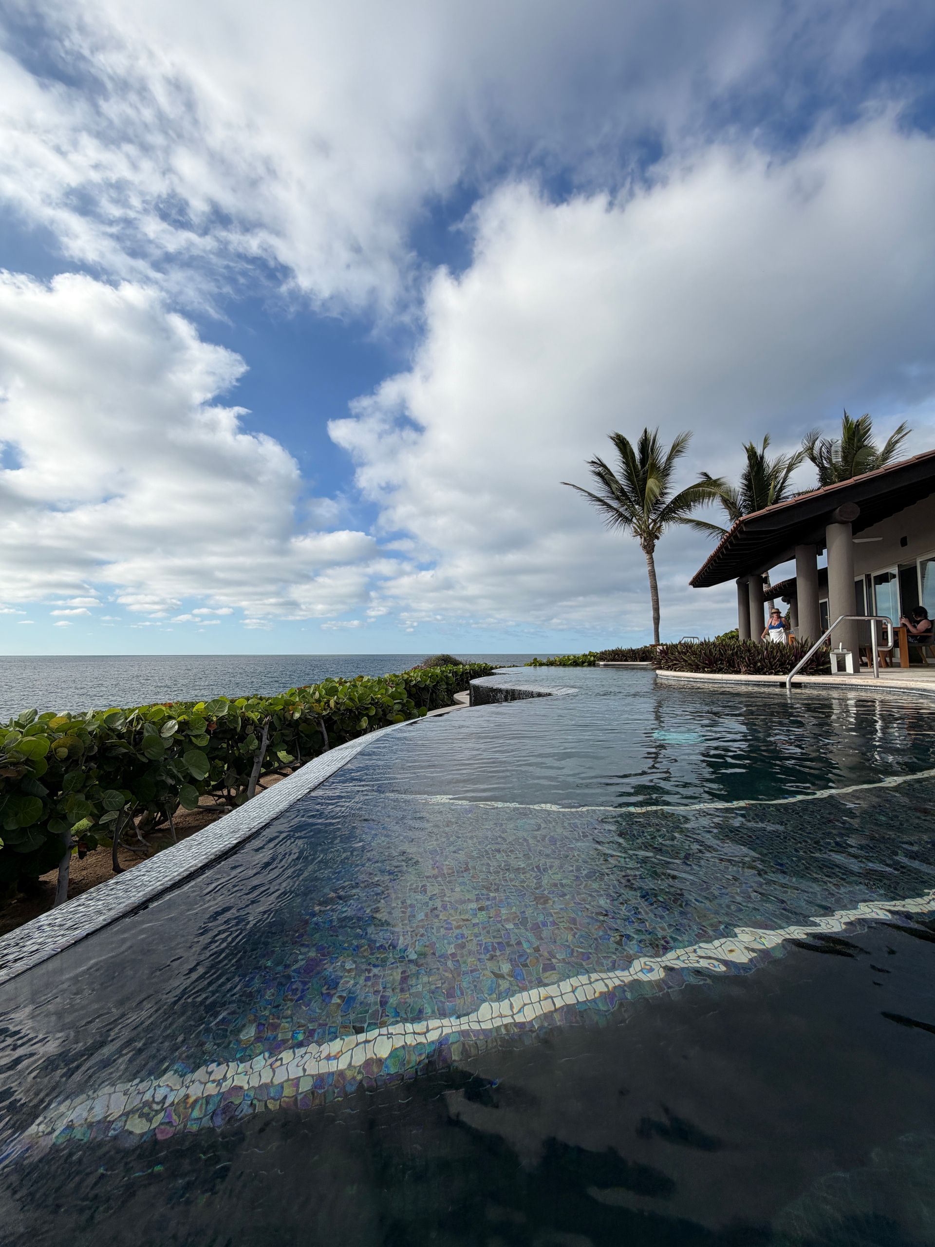 Infinity pool beside the ocean under a cloudy sky, with palm trees and a seaside villa