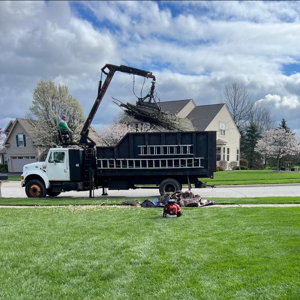 Worker loading tree debris into a black dump truck on a suburban street under a cloudy sky