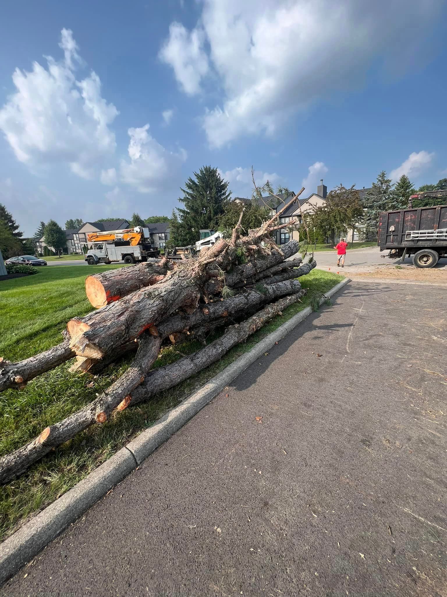 A pile of logs is sitting on the side of the road.