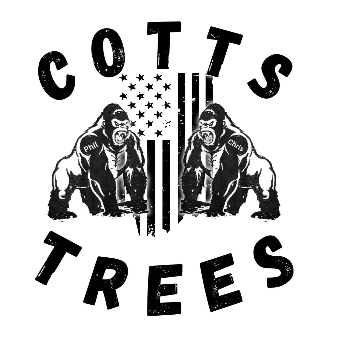 Central Ohio Tree Trimming Service Central Ohio Tree Trimming Service