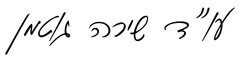 שירה גוטמן, משרד עורכי דין