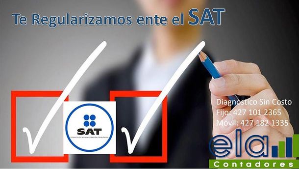 ELA CONTADORES