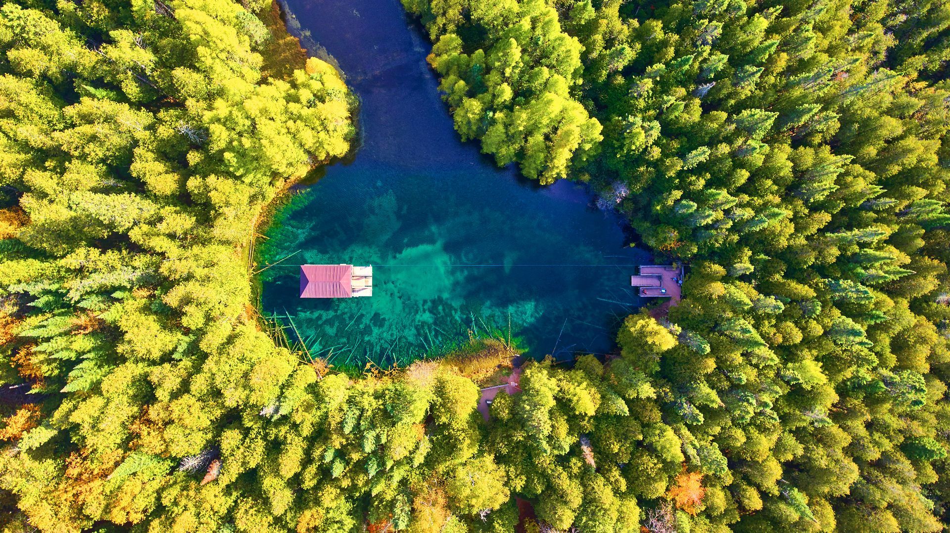 An aerial view of a lake surrounded by trees.