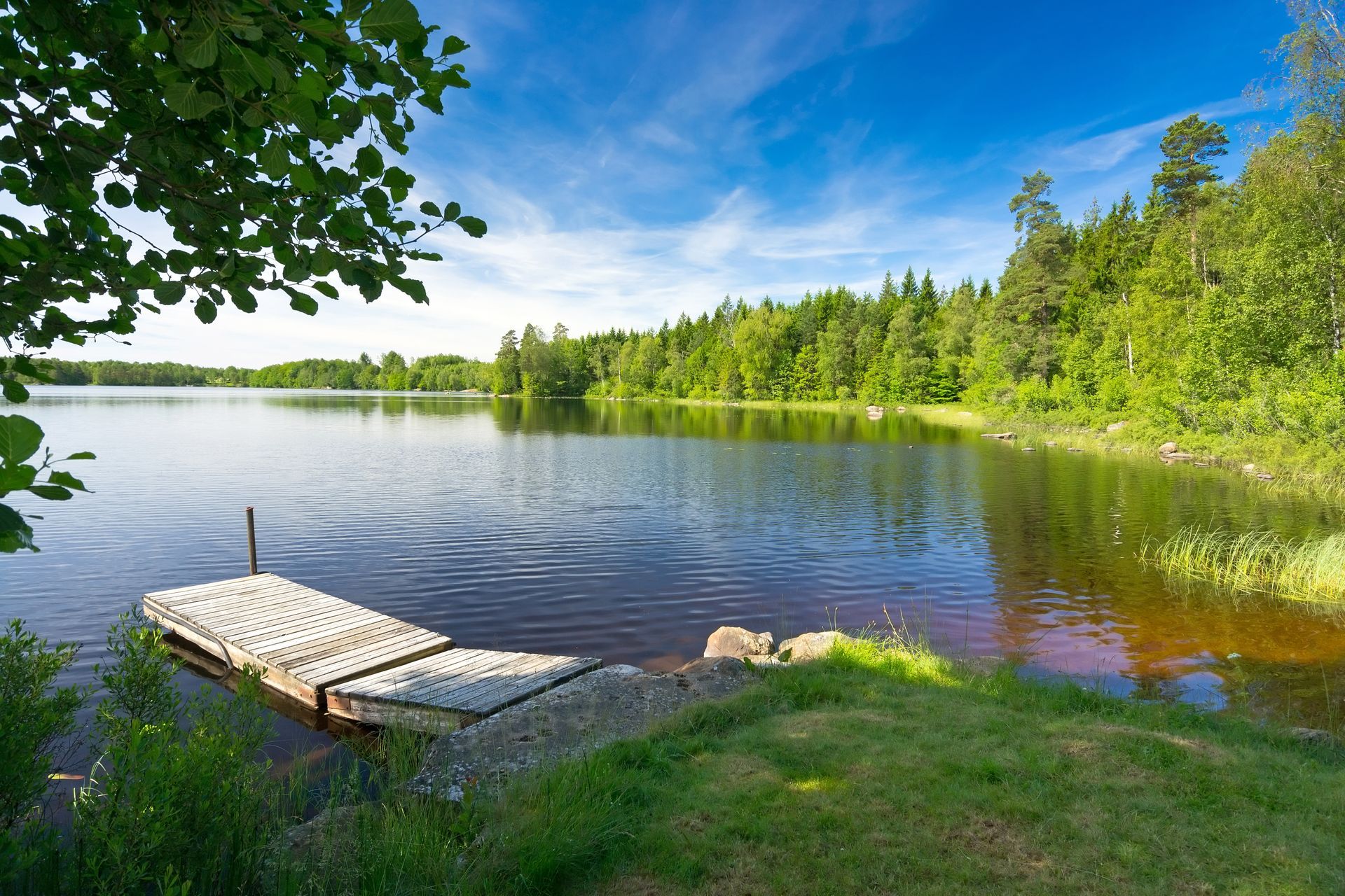 There is a dock in the middle of a lake surrounded by trees.