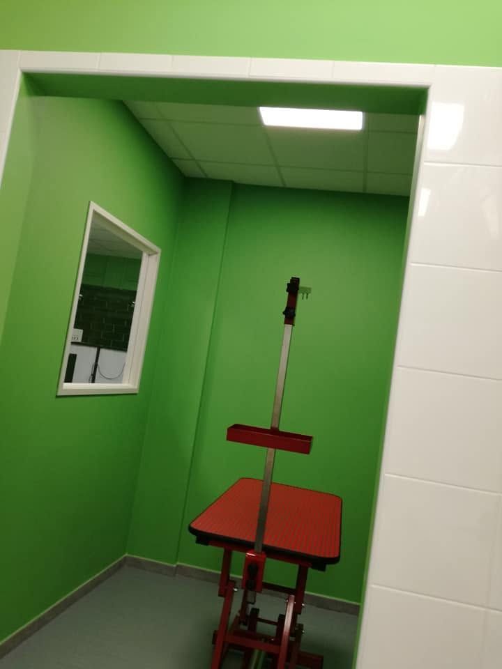 Sala visite mediche verde con lettino, lampada a soffitto e specchio a parete.
