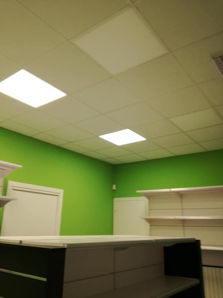 Ufficio vuoto con pareti verde brillante, controsoffitto con pannelli bianchi e scaffalature sotto luci fluorescenti.