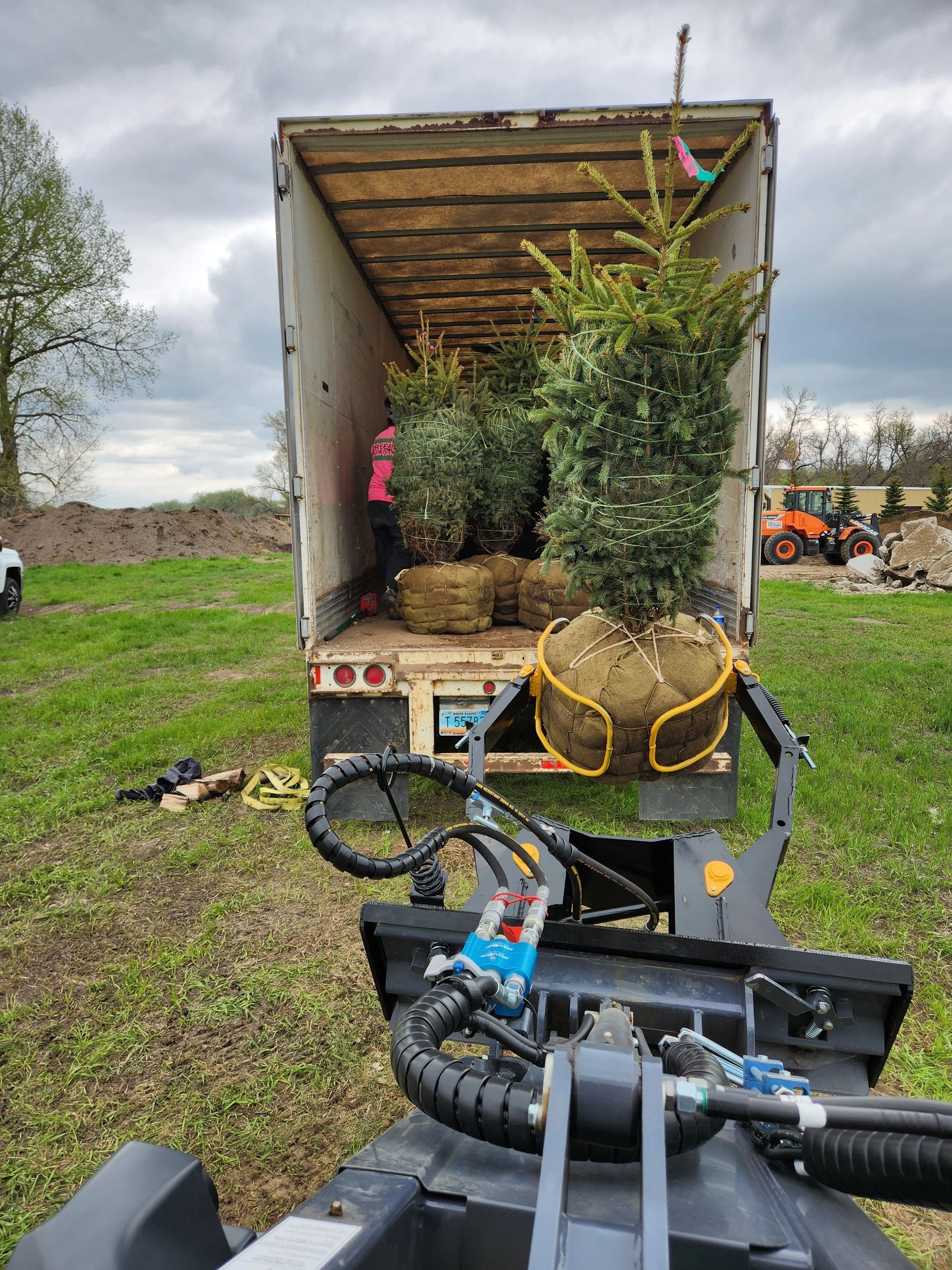 A truck filled with trees is parked in a grassy field.