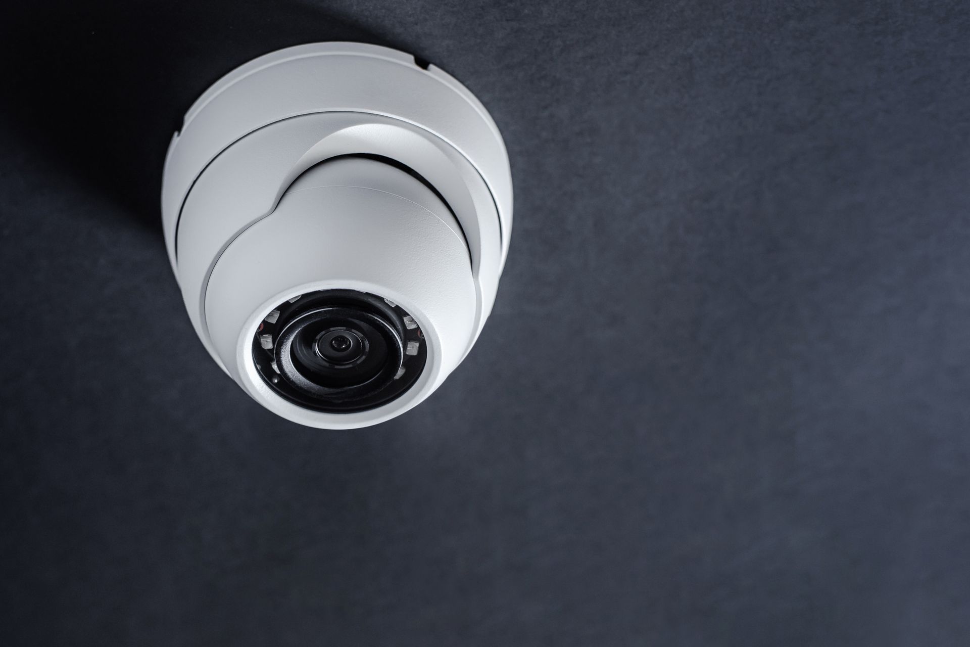 Telecamera interna di videosicurezza