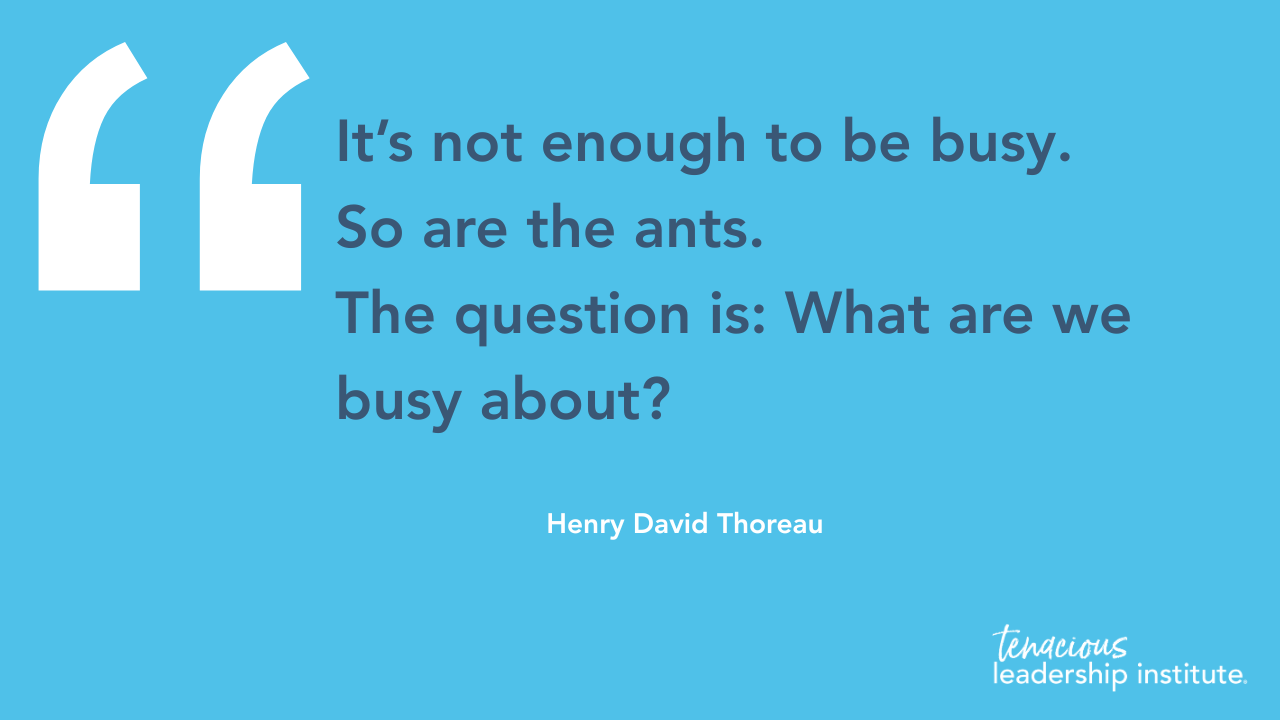 Blue quote graphic: “It’s not enough to be busy. So are the ants. The question is: What are we busy about?”