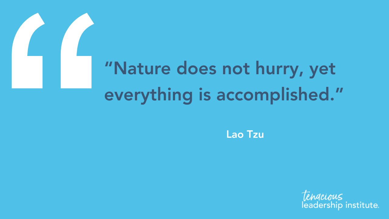 Blue quote graphic with white text: “Nature does not hurry, yet everything is accomplished.” – Lao Tzu