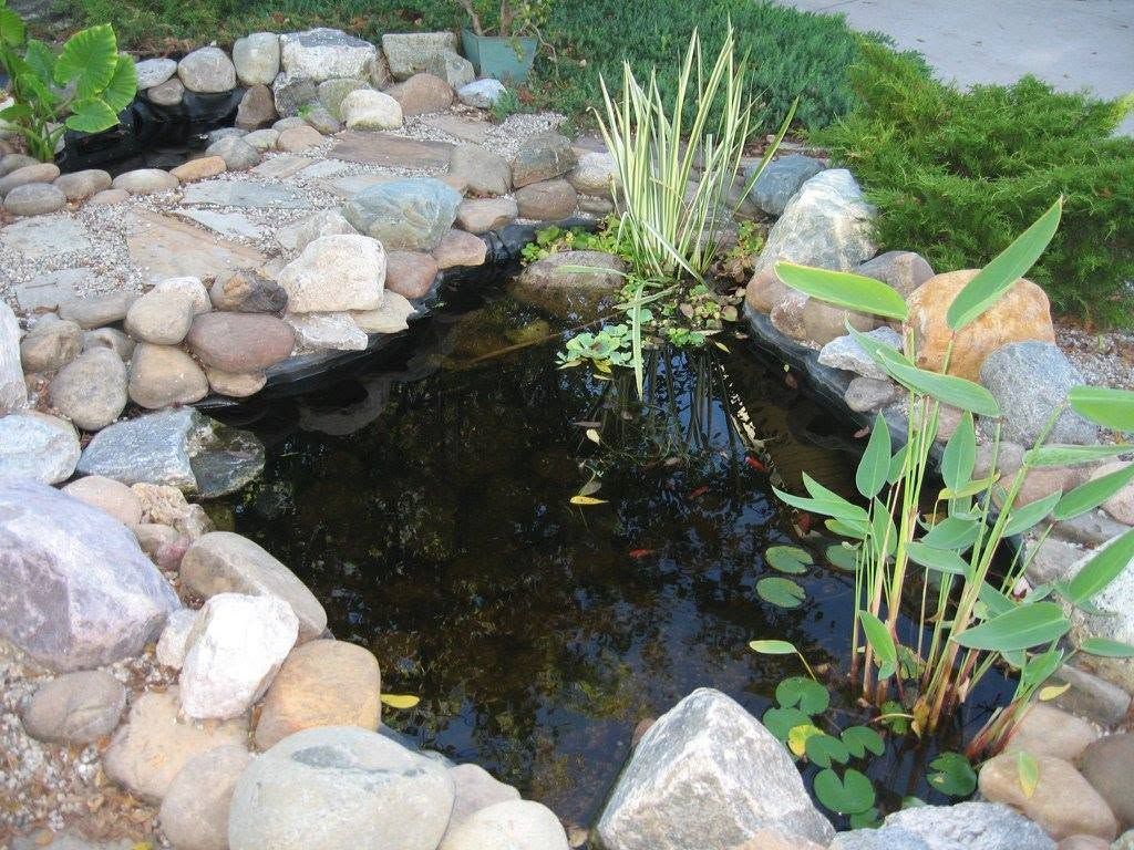 Backyard garden pond lined with large natural stone boulders and filled with water lilies and aquatic plants