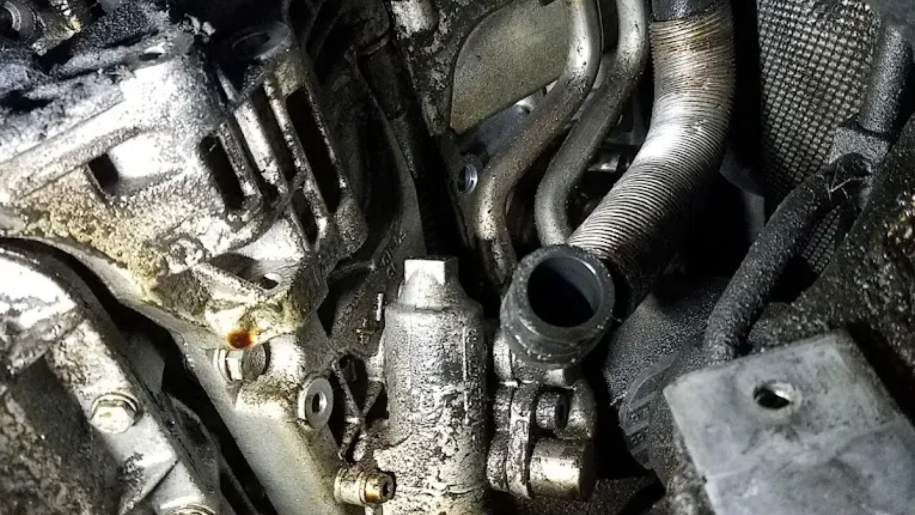 Oil Change for Auto | German Auto, LLC