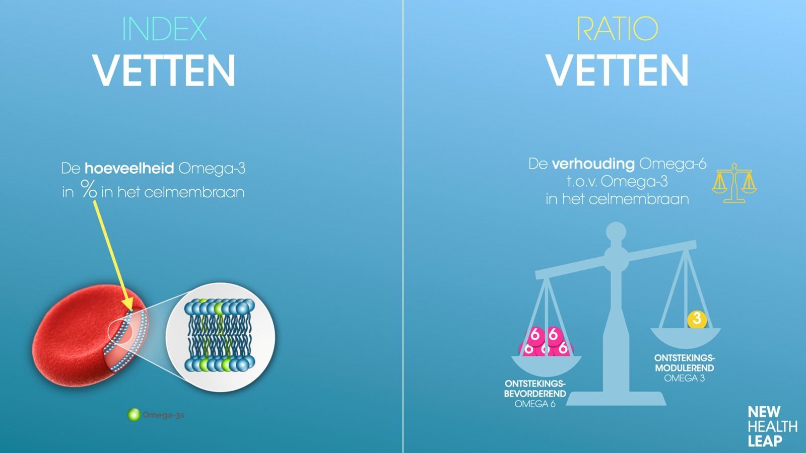 Omega3 - EQOLOGY