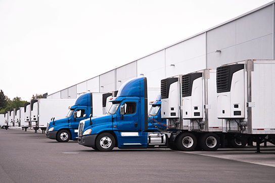 cold storage material handling equipment