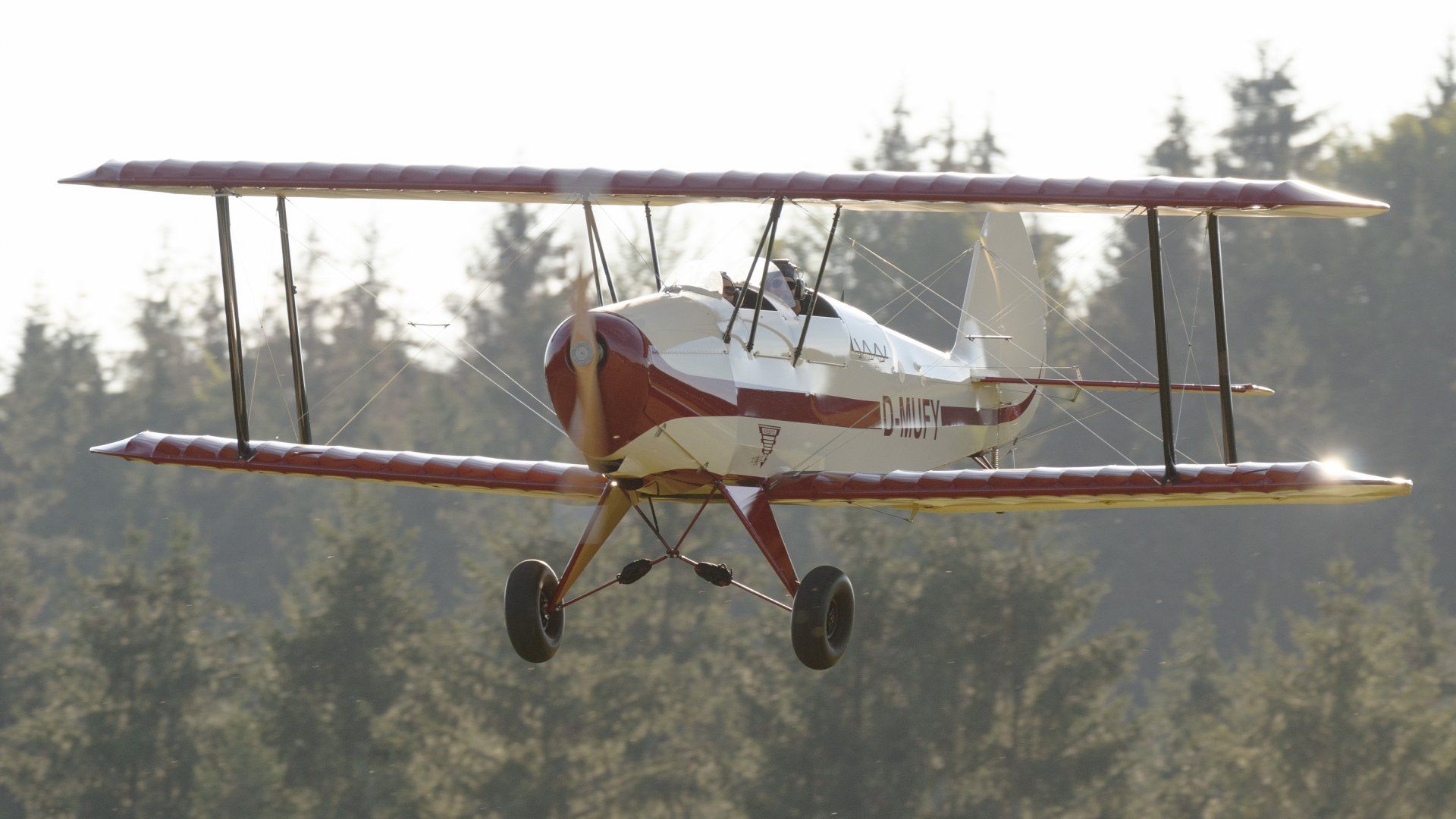 Das Doppeldeckerflugzeug D-MUFY startet am Flugplatz. Flugzeugtyp ist Kiebitz