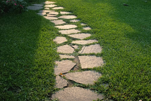 Stone stepping path winding through green grass in a garden