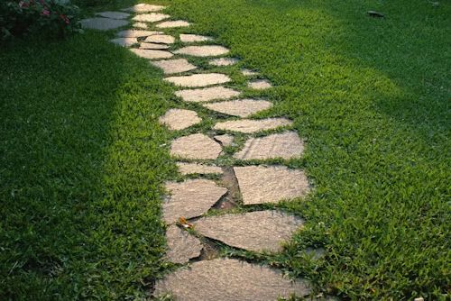 Stone path through green grass.