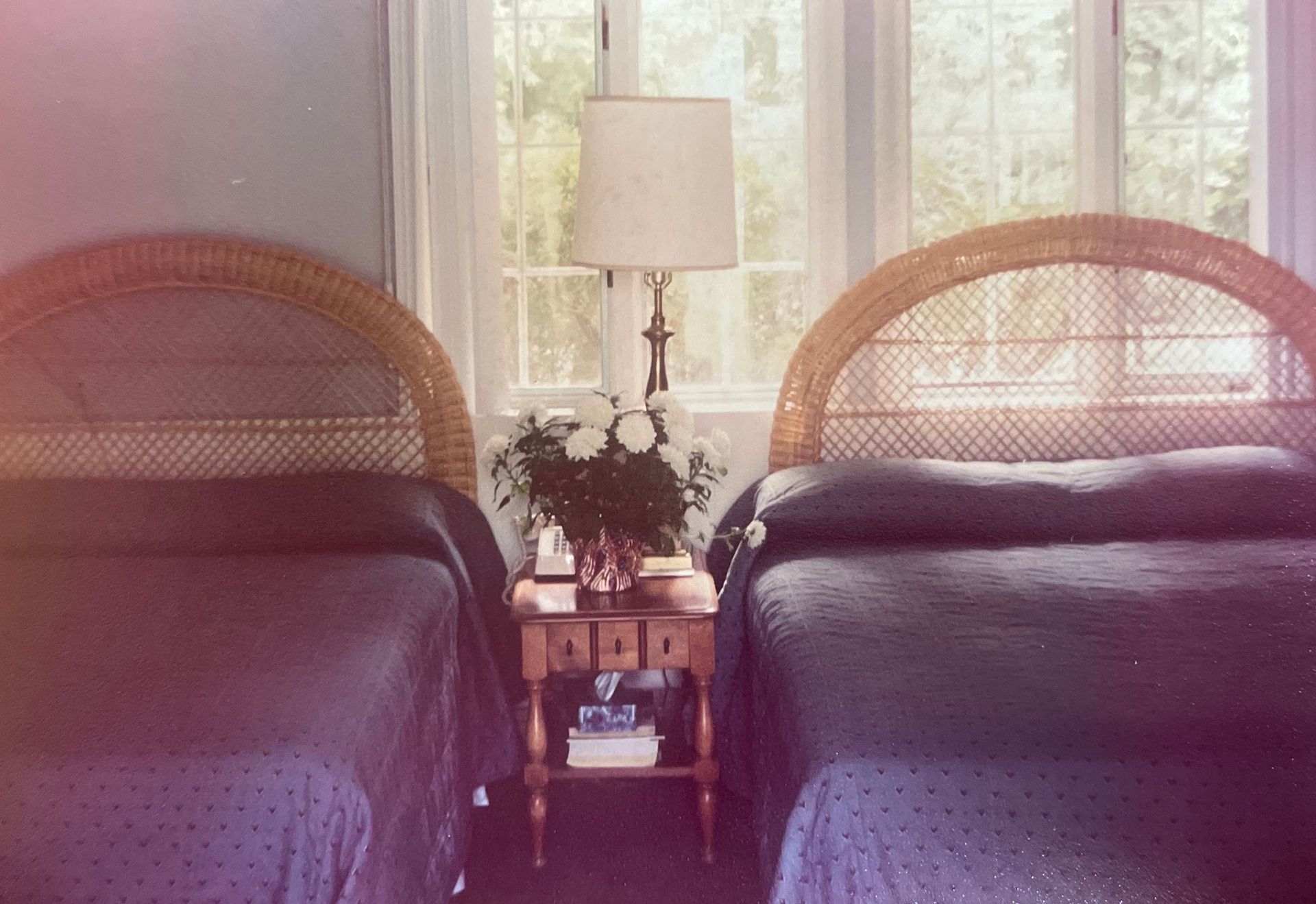 Two wicker twin beds with purple bedding flank a nightstand and lamp in a bright bedroom.