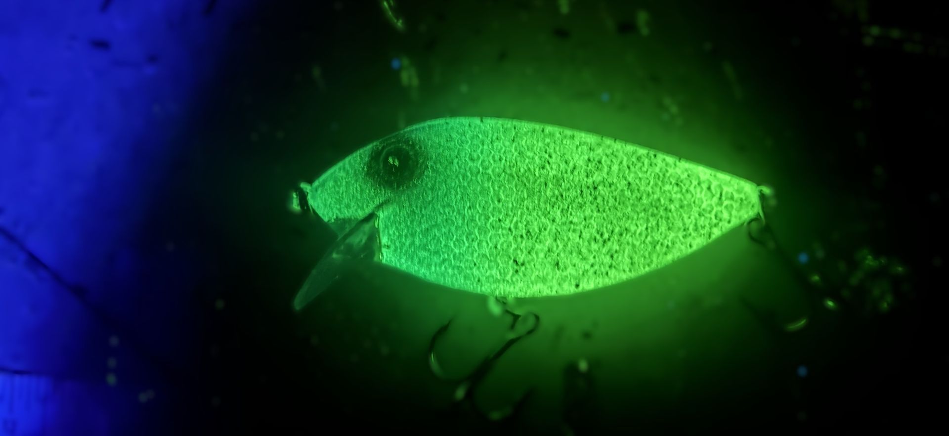 Glow Thin Fins