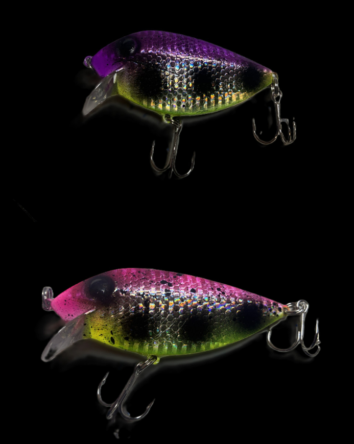 Goby Thin Fins