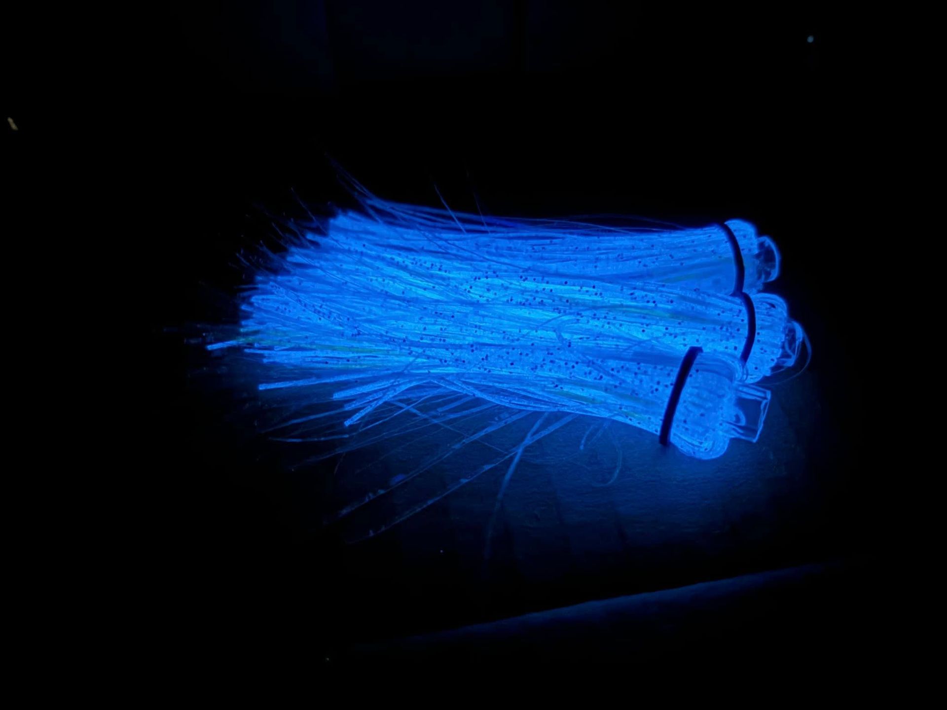 Jellyfish Kringle FLy (3pk) ( Glow Blue)