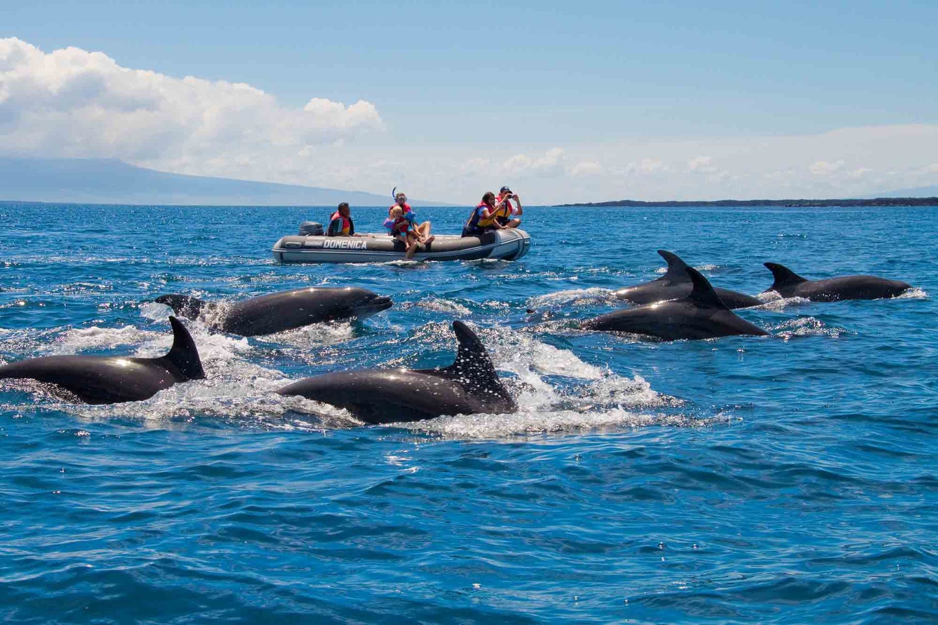 Galapagos Western Route Itinerary