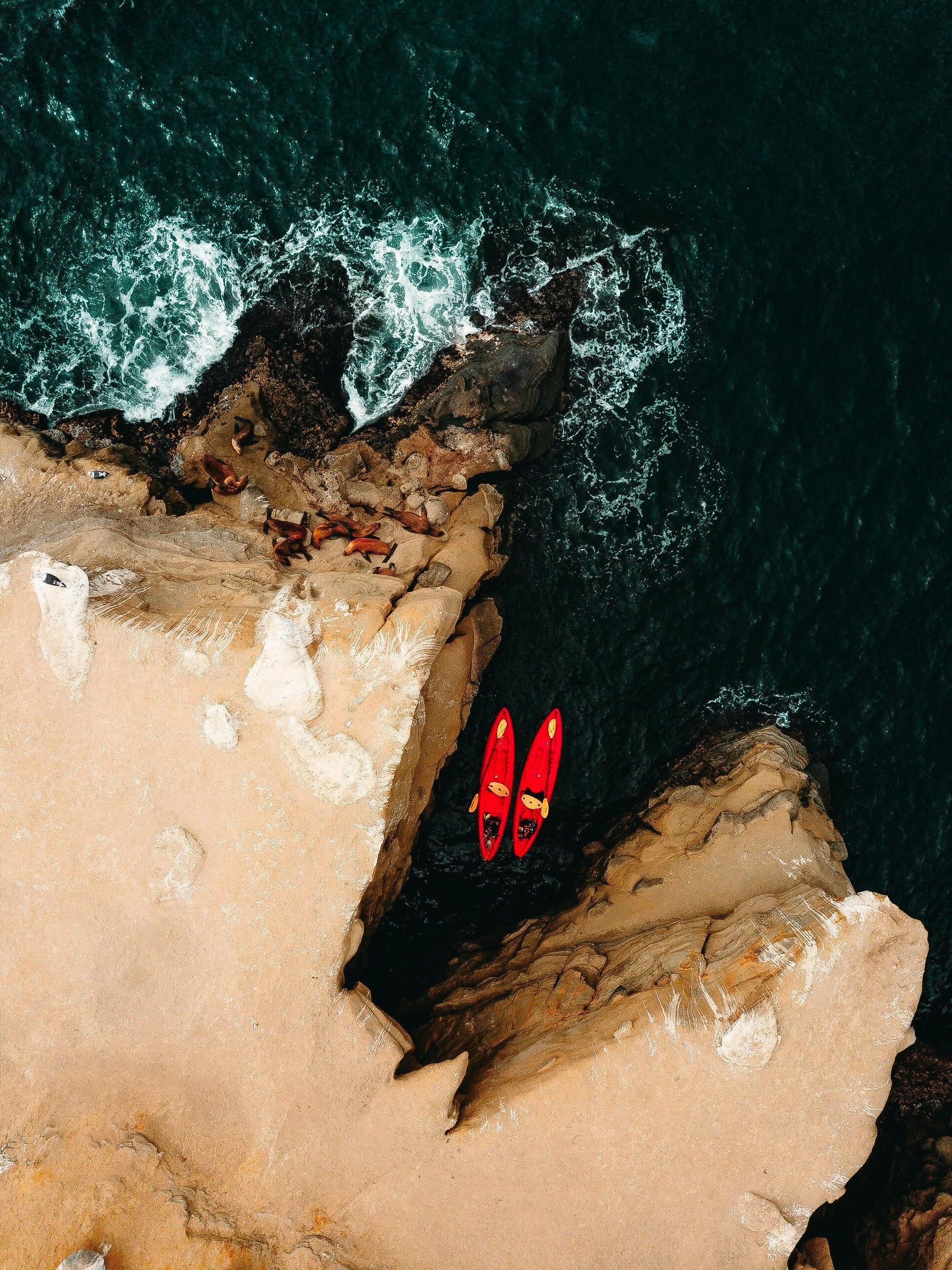 La Jolla 101 - 2