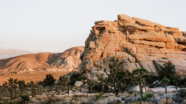 La Jolla 101 - 16