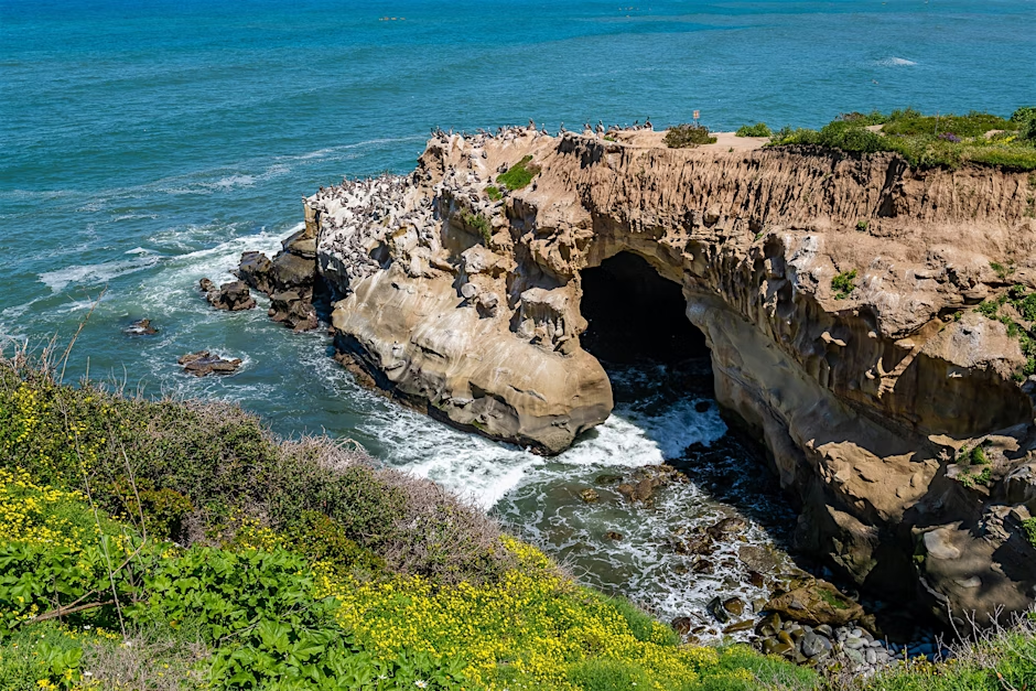 Ultimate La Jolla Self-Guided Combo Tour