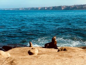 La Jolla 101 - 6