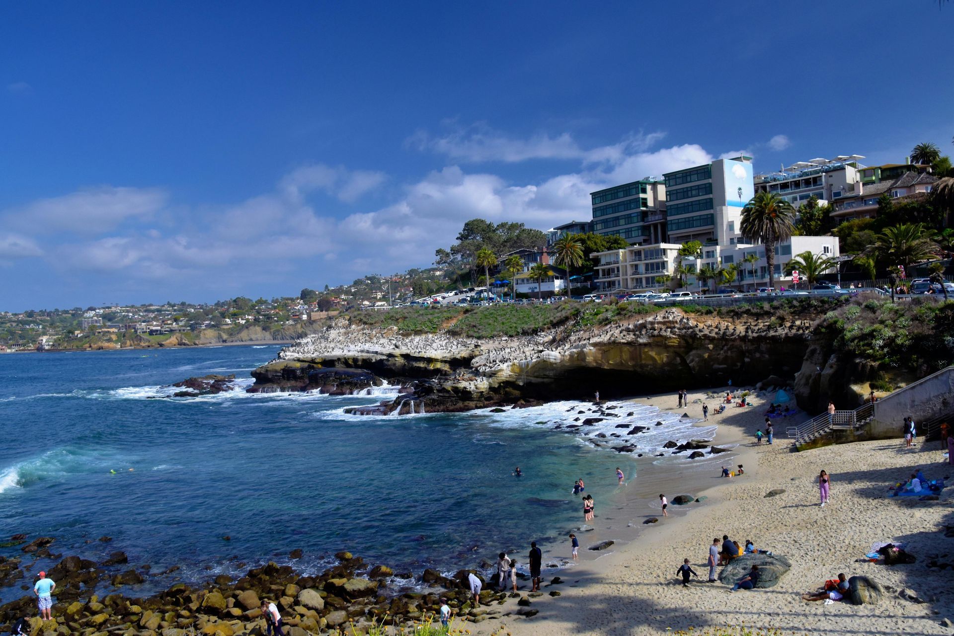 la jolla shores beach rentals