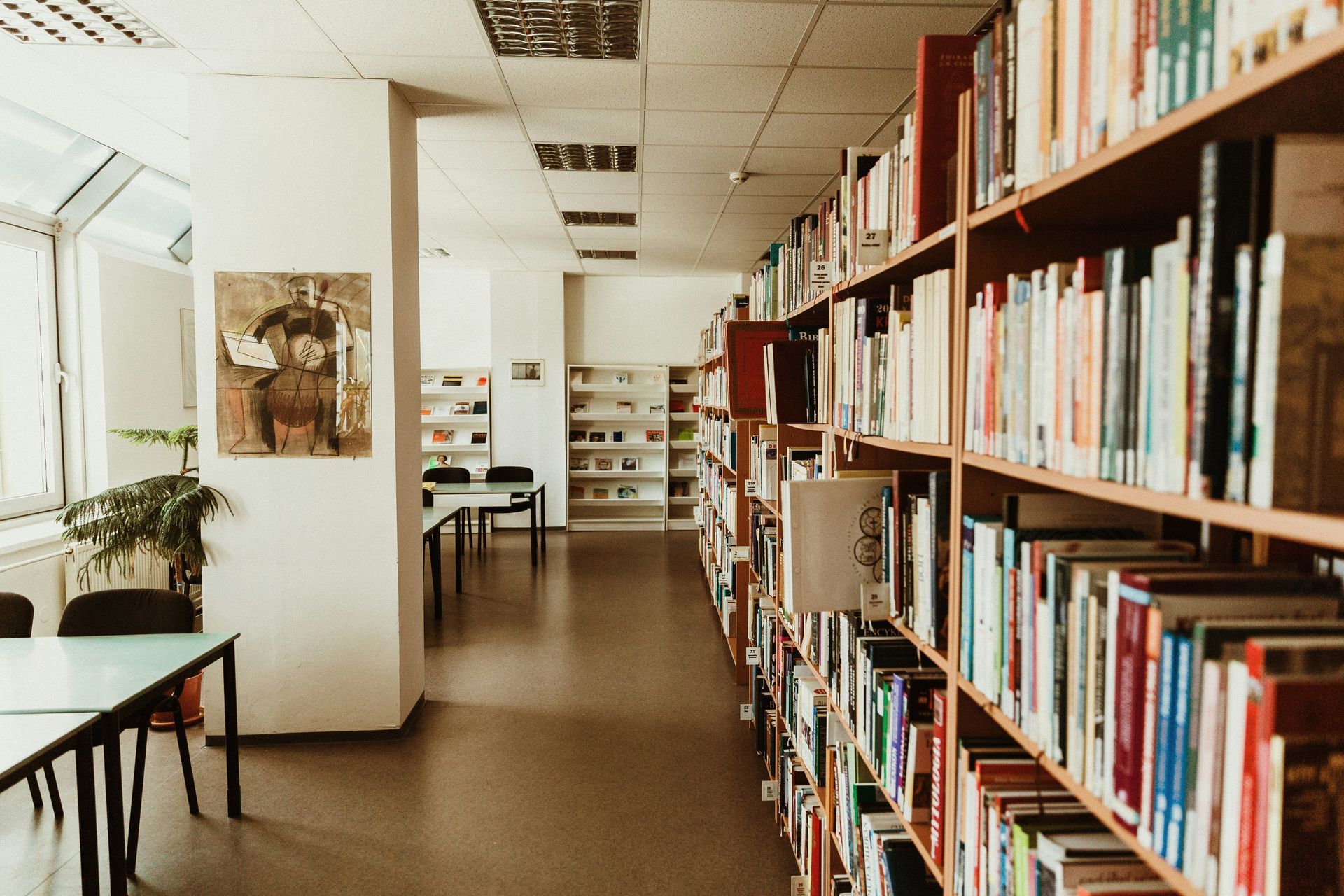 An indoor library aisle with rows of wooden bookshelves, a bright window to the left, and tables in the background.