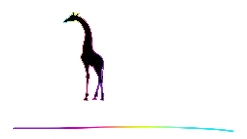 A giraffe is standing on a rainbow line on a white background.