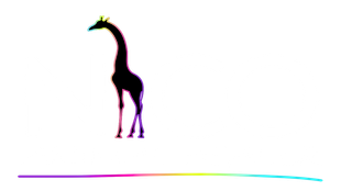 A giraffe is standing on a rainbow line on a white background.