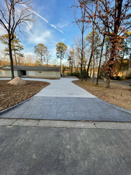 Paved walkway leading to a modern building amid autumn trees under a blue sky