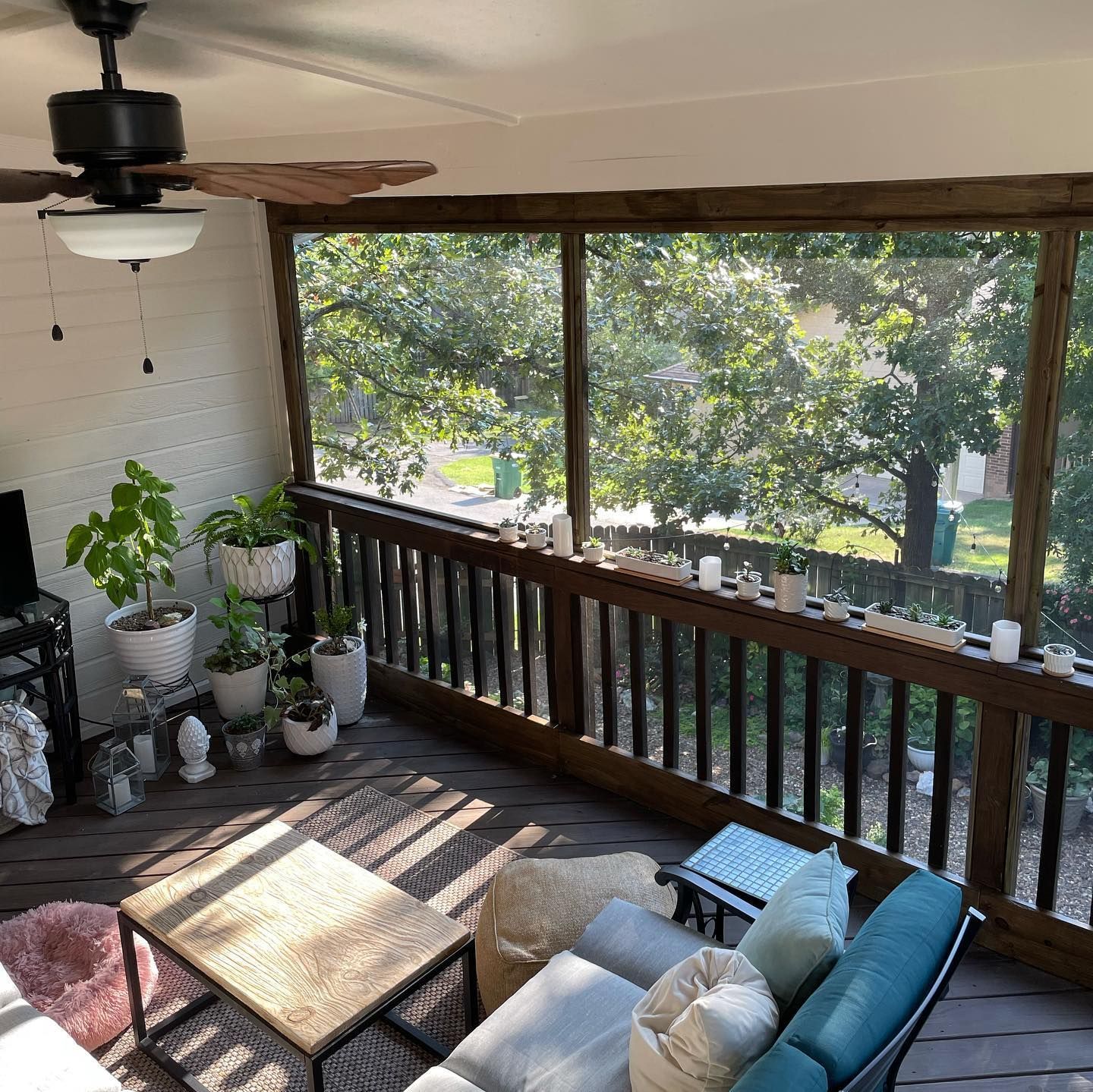 Sunlit screened porch with plants, seating, and a view of trees.