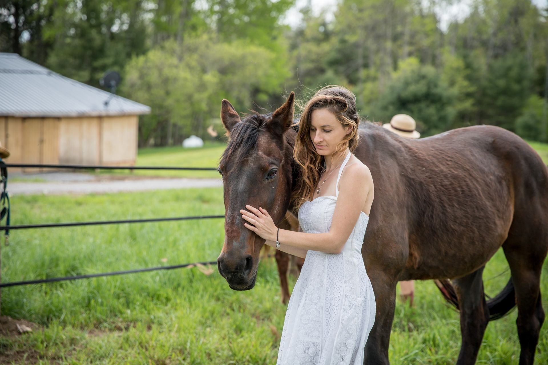 Horse equine assisted learning wellness offering at Whispering Springs