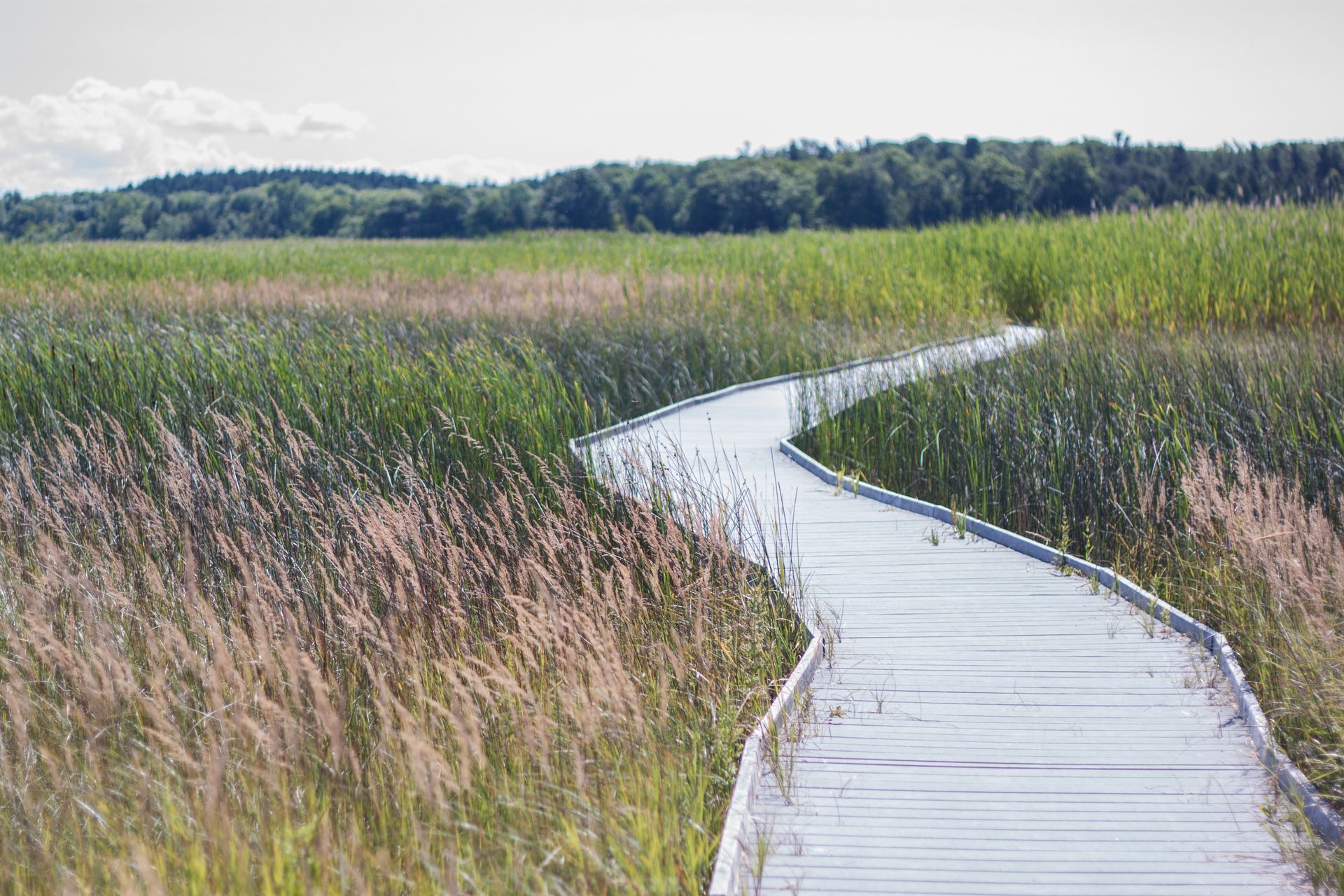 Presqu'ile Provincial Park in Northumberland County