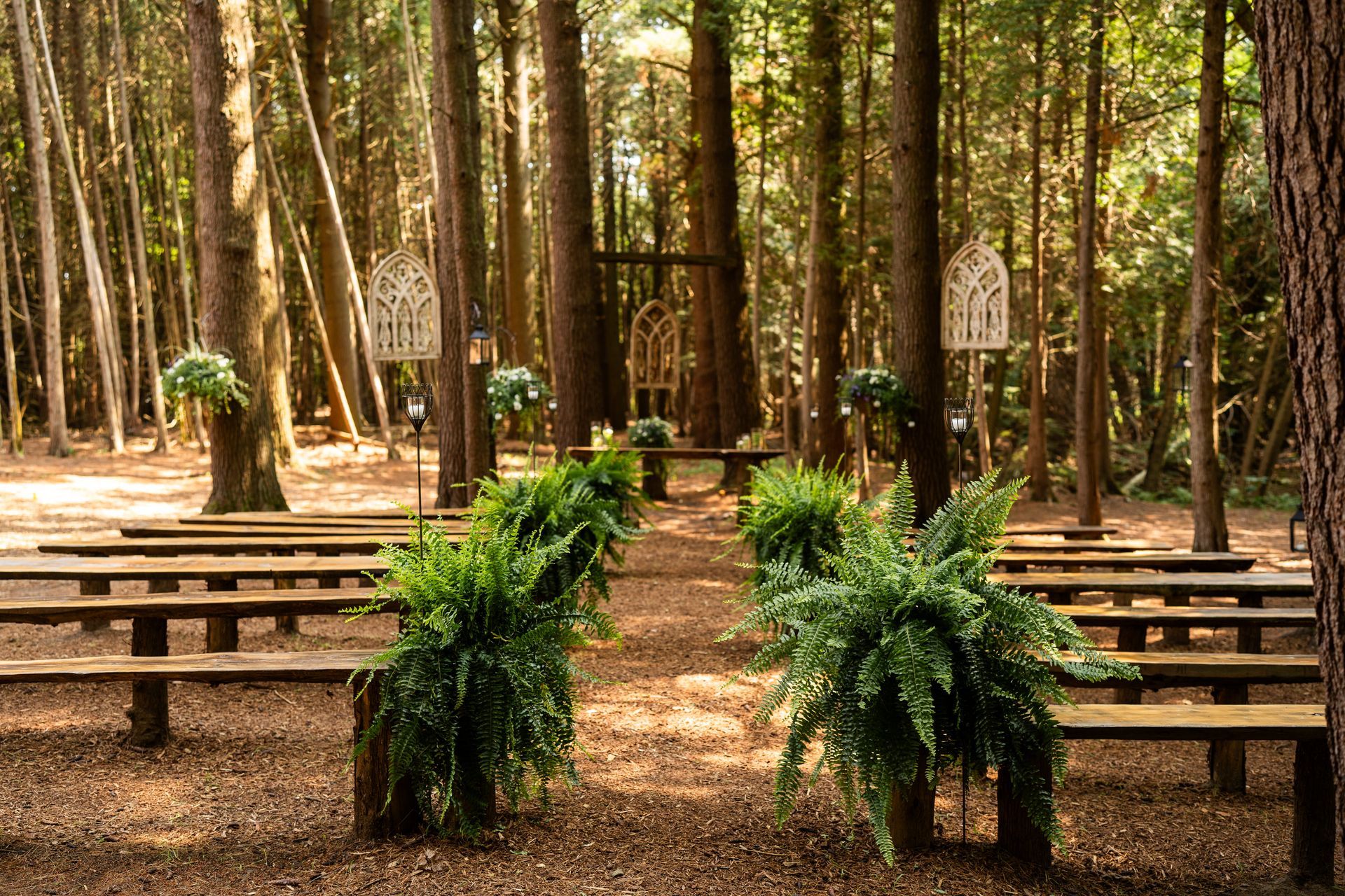 Whispering springs Wedding (Love Photos Photography)