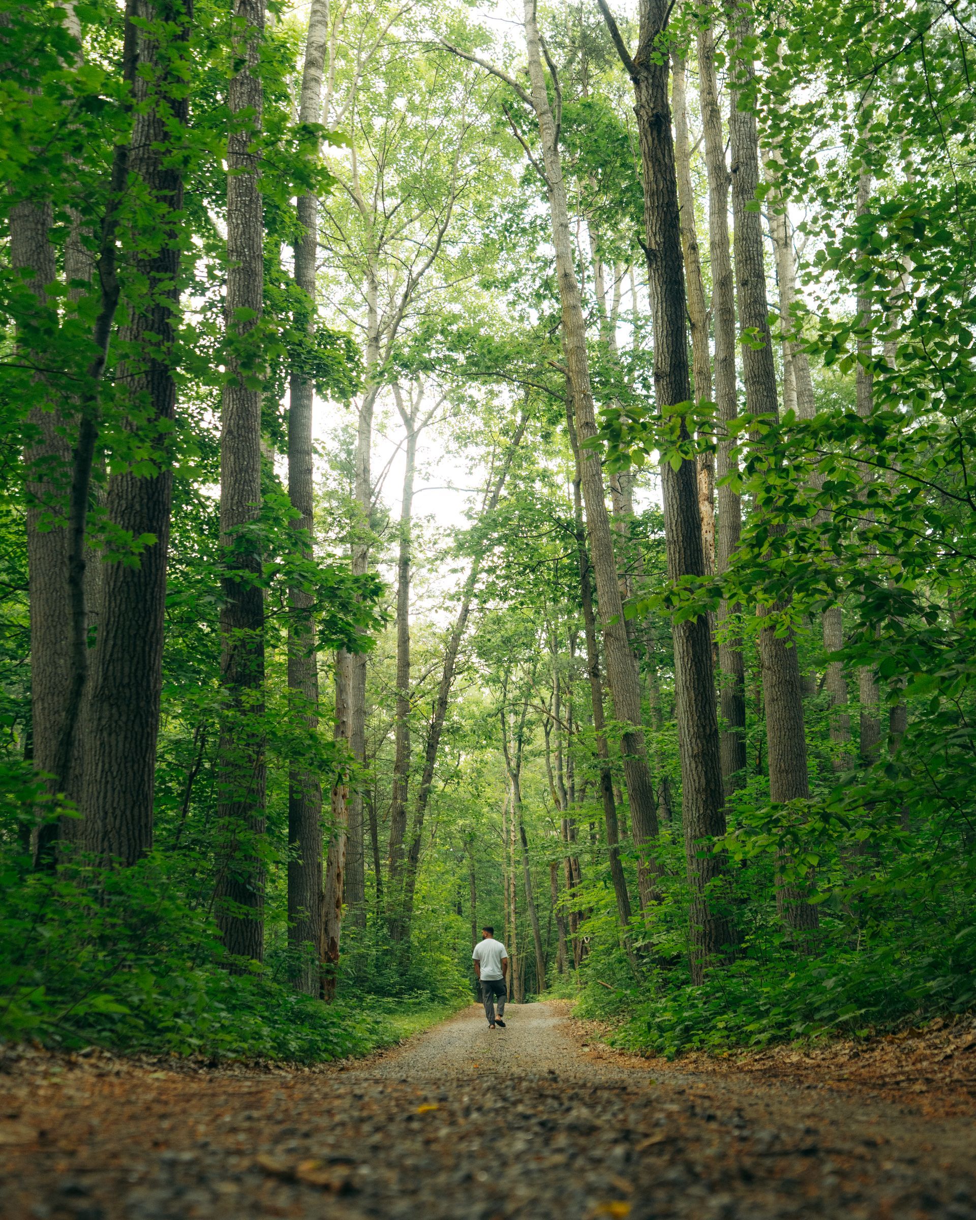 Corporate retreat at Whispering Springs